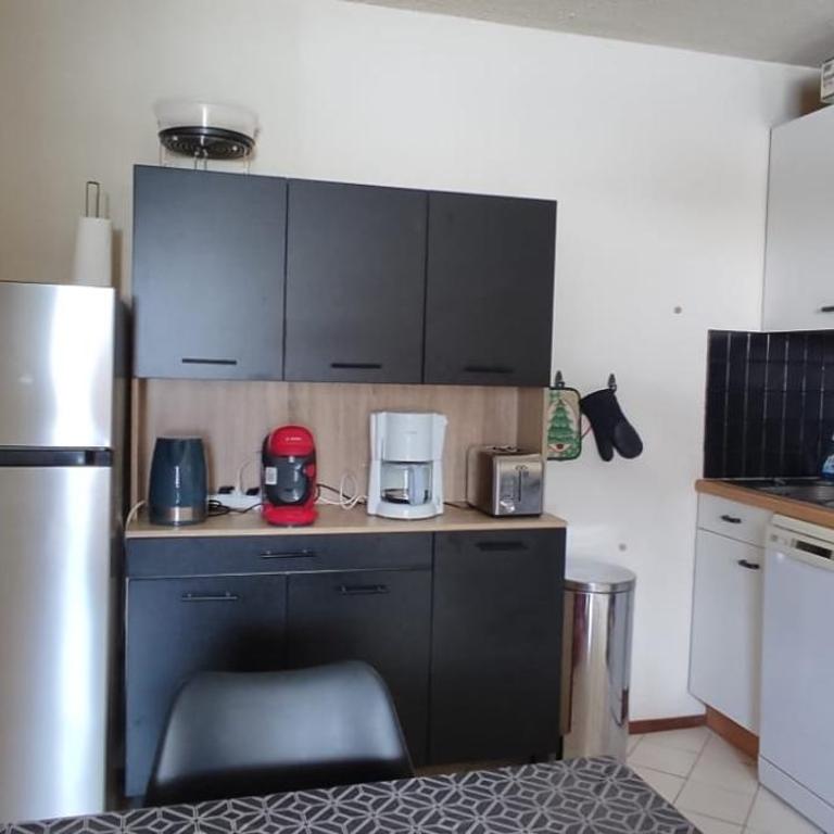 Appart 4-6 pers au pied des pistes toutes saisons - Appartement 2 Chambres - 4
