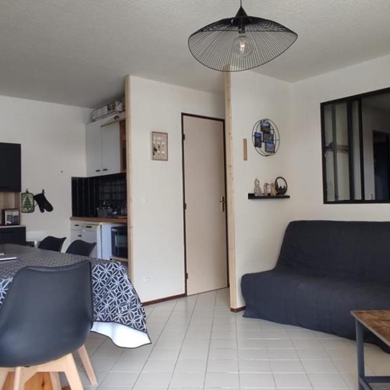 Appart 4-6 pers au pied des pistes toutes saisons - Appartement 2 Chambres - 3