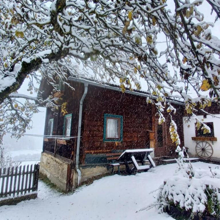 Ferienhaus SCHWEIZER Hof - Maison 3 Chambres - 8
