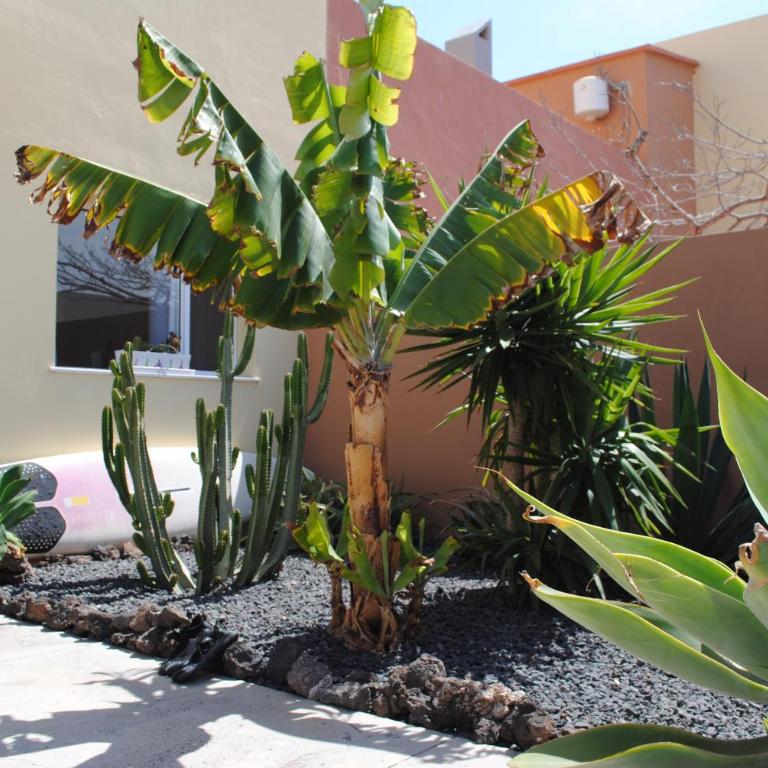 Charming casa with 2 terraces - Casa Lina Fuerteventura - Apartamento de 2 dormitorios - 20