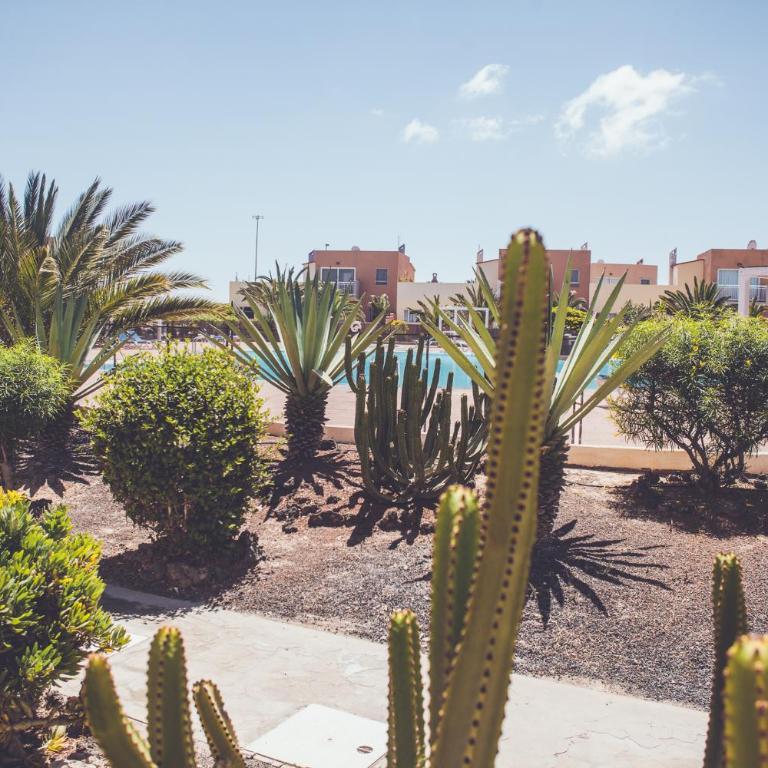 Charming casa with 2 terraces - Casa Lina Fuerteventura - Apartamento de 2 dormitorios - 25