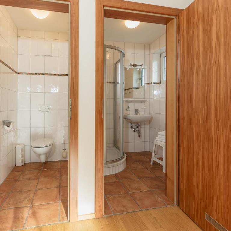 Stögergut by Schladming-Appartements - Apartment mit 1 Schlafzimmer und Balkon - 2