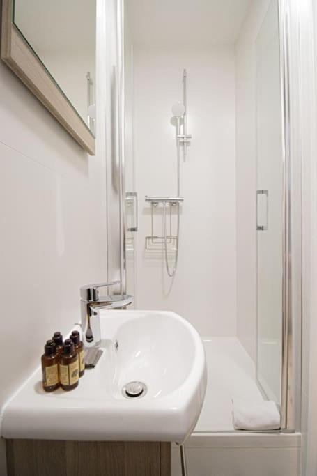 cosy studio#heart of Le Marais.2 - Studio avec Canapé-Lit - 14