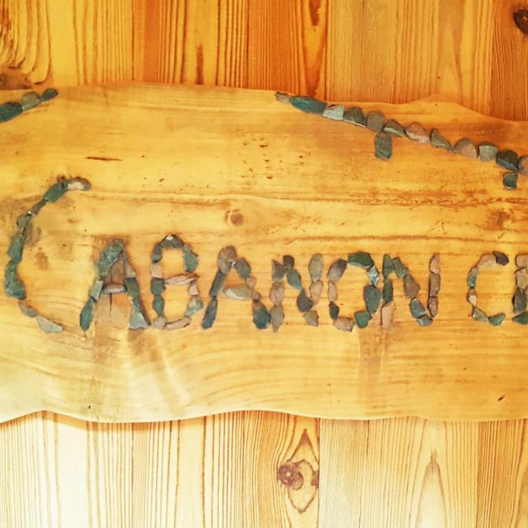 "Le Cabanon cendré" petit chalet cosy au coeur de Gérardmer - Chalet 1 Chambre - 26