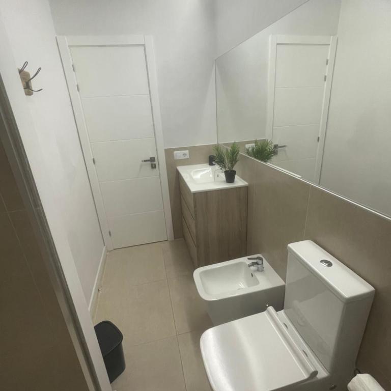 Casa Palmera - Apartamento de 1 dormitorio - 8