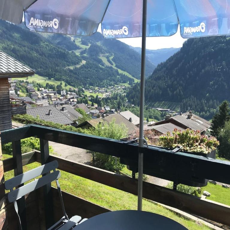 Studio Châtel 4 Pers, Ski, Balcon Sud/Ouest, Parking, Netflix/WIFI, Animaux admis - FR-1-676-122 - Studio - 7