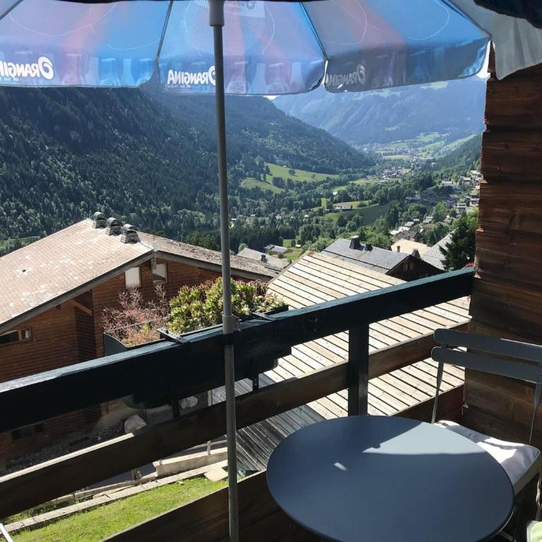 Studio Châtel 4 Pers, Ski, Balcon Sud/Ouest, Parking, Netflix/WIFI, Animaux admis - FR-1-676-122 - Studio - 8
