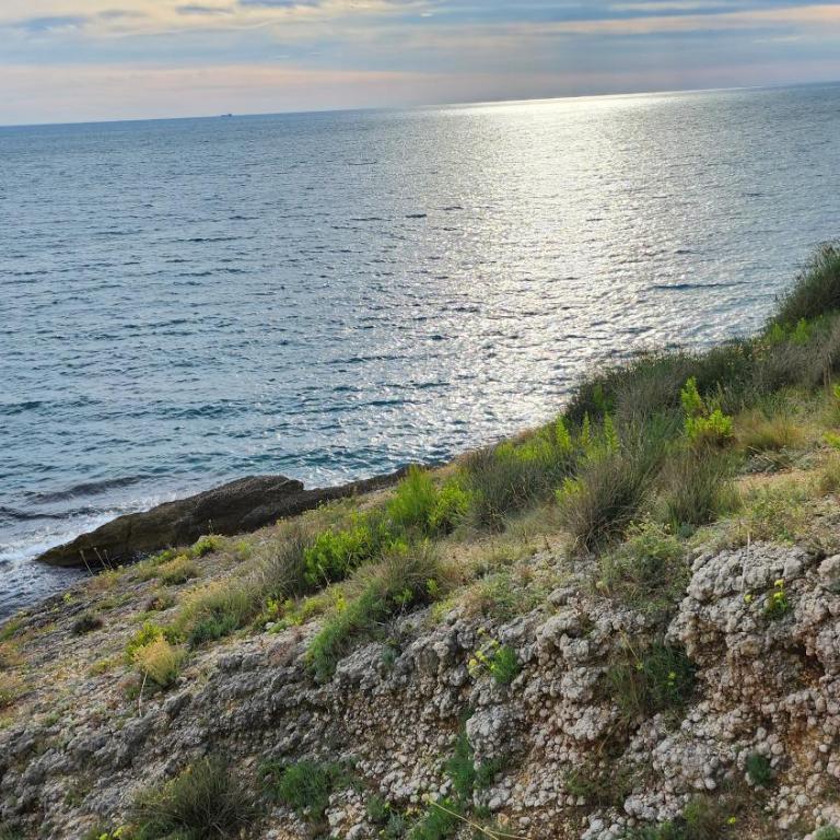 Marelis condo with sea view - Apartman sa 1 Spavaćom Sobom - 24
