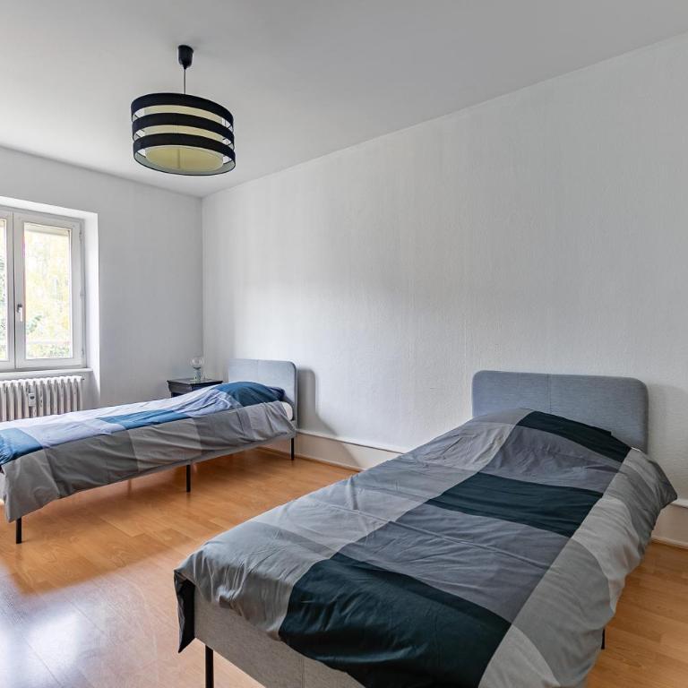 Grand appart cosy - Hyper centre - Strasbnb - Appartamento - 24