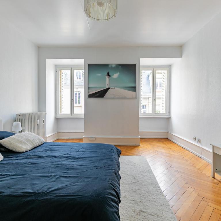 Grand appart cosy - Hyper centre - Strasbnb - Appartamento - 11