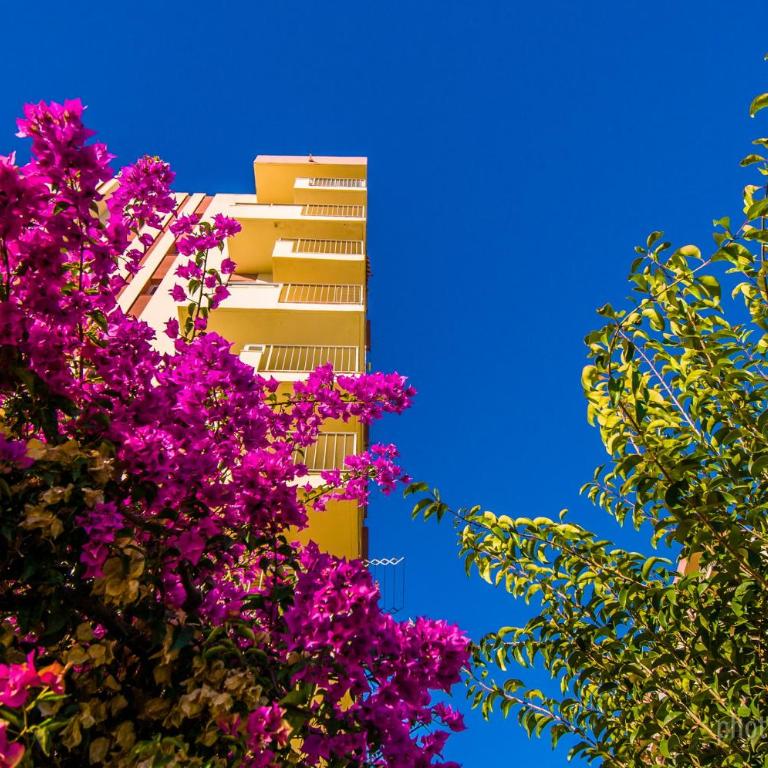908 Minerva Apartamentos - Vistas al mar - Piscina y Playa - Apartamento de 1 dormitorio - 29