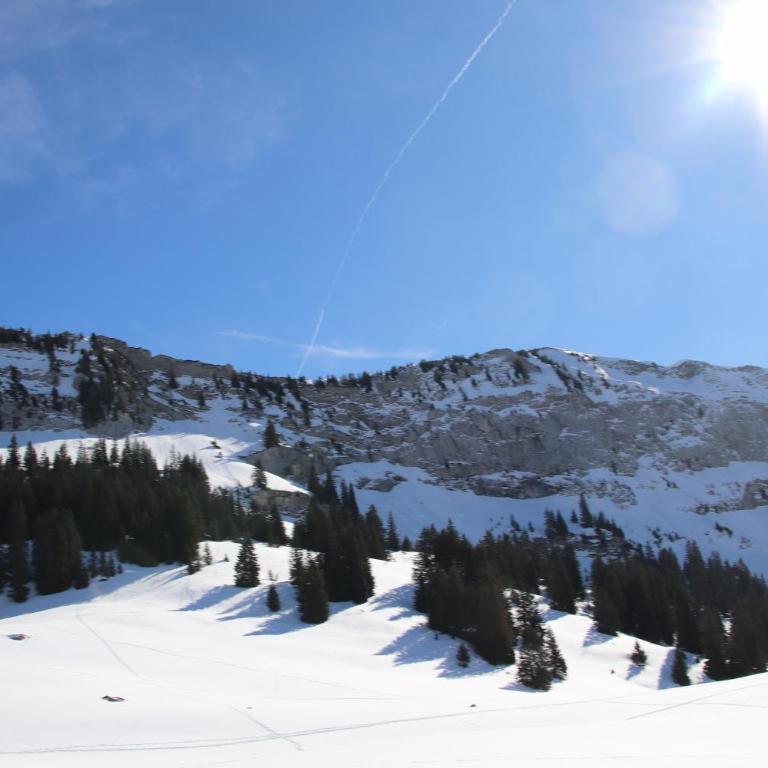 logement entre lac et montagnes - Appartement 1 Chambre - 16