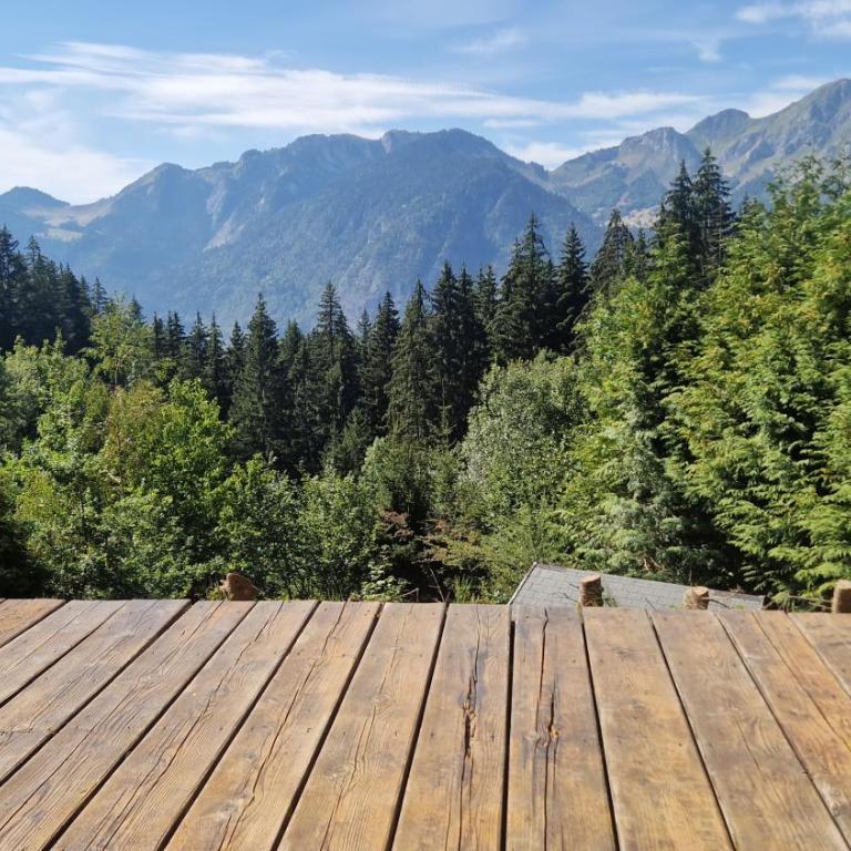 Alpine 1 bed Chalet with beautiful views - Appartement 1 Chambre - 12
