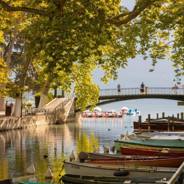 La Légende, 2 pièces avec parking privé gratuit près du lac - Appartamento con 1 Camera da Letto - 19