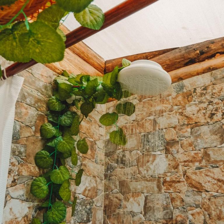 Alma de Campo Laguna Suesca - Glampings & Cabañas Suesca - Glamping deluxe - 12
