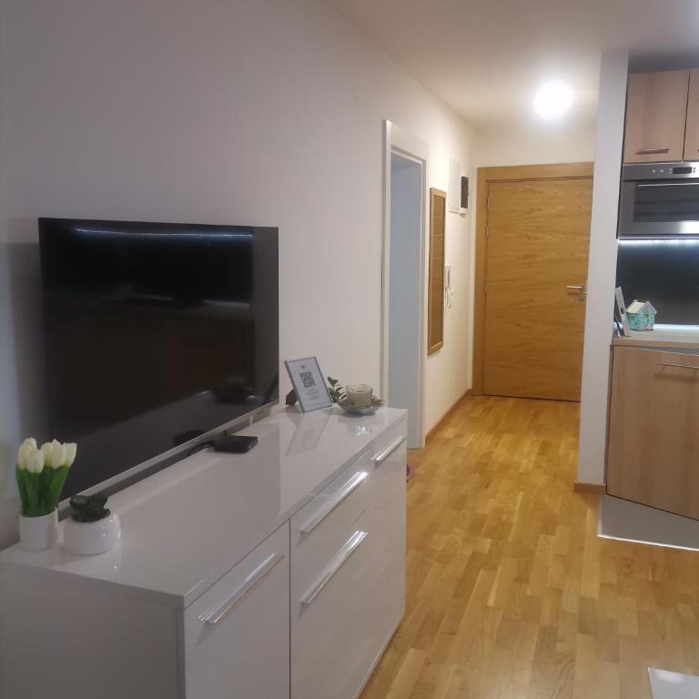 MDM Apartman Vrnjačka Banja - One-Bedroom Apartment - 8