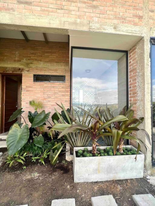 Casa campestre Lago Calima - Casa con 1 dormitorio - 24