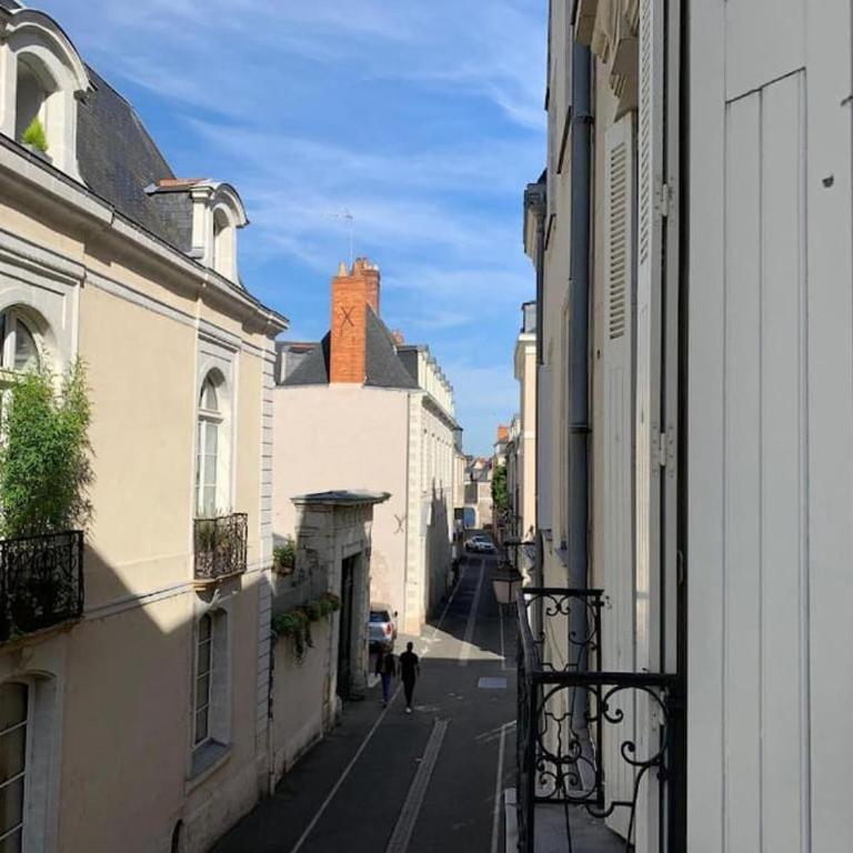 Elegencia-T2 de charme-Hyper centre-Fibre - Appartement 1 Chambre - 7