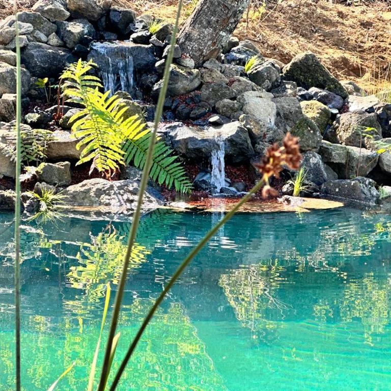 Cabaña en el bosque-Termas de Chillán - Casa de 2 dormitorios - 13