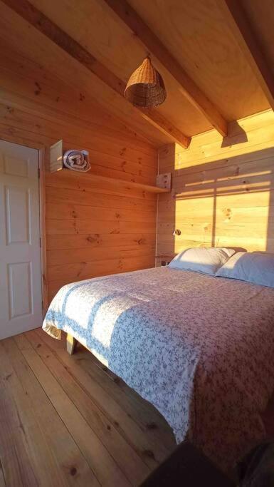 Cabaña Orca Lodge Sur frente al mar en Curanipe, Ideal para desconectar en pareja - Casa con 1 dormitorio - 5