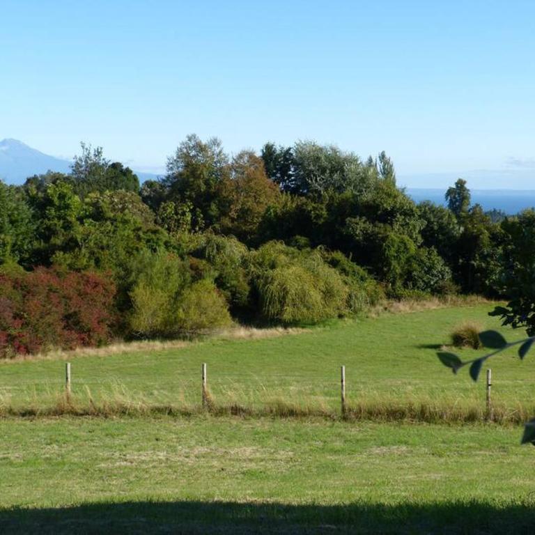 Tiny House Volcán de Puerto Octay - Chalet de 1 dormitorio - 21