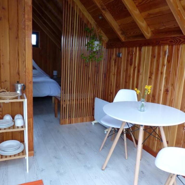 Tiny House Volcán de Puerto Octay - Chalet de 1 dormitorio - 10