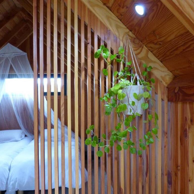 Tiny House Volcán de Puerto Octay - Chalet de 1 dormitorio - 11