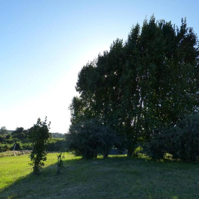 Tiny House Volcán de Puerto Octay - Chalet de 1 dormitorio - 22