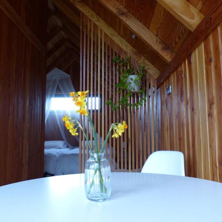 Tiny House Volcán de Puerto Octay - Chalet de 1 dormitorio - 12