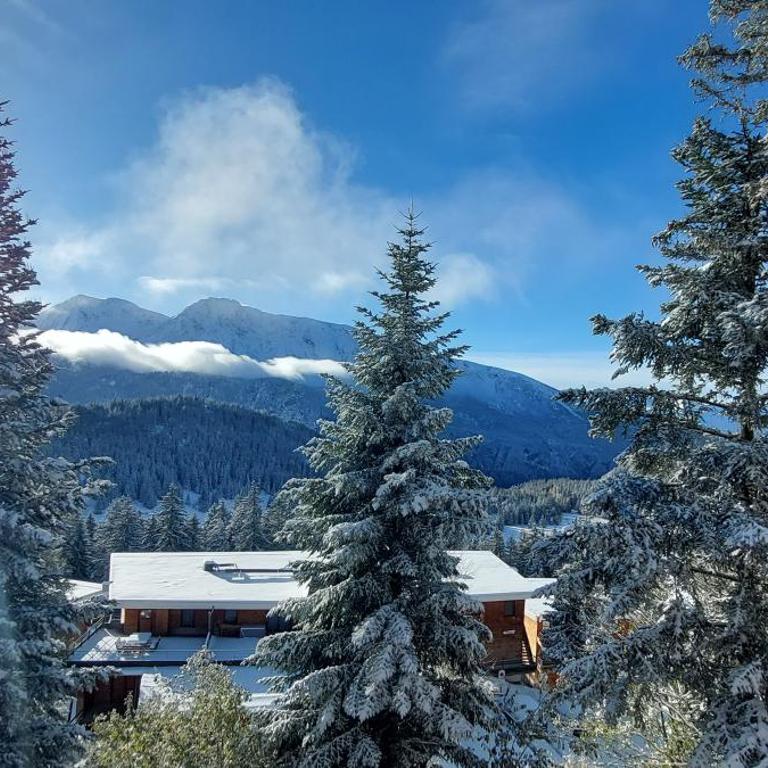 Appartement 4/6 personnes - Vue plein sud - Chamrousse - Apartment mit 2 Schlafzimmern - 9