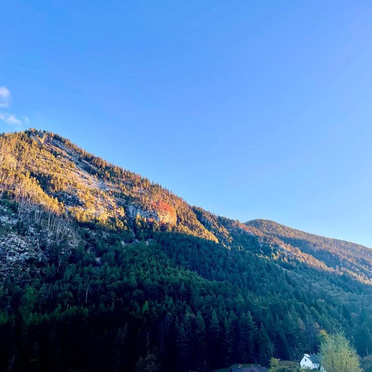 Sweet Mountain Home - Apartment mit 1 Schlafzimmer - 37