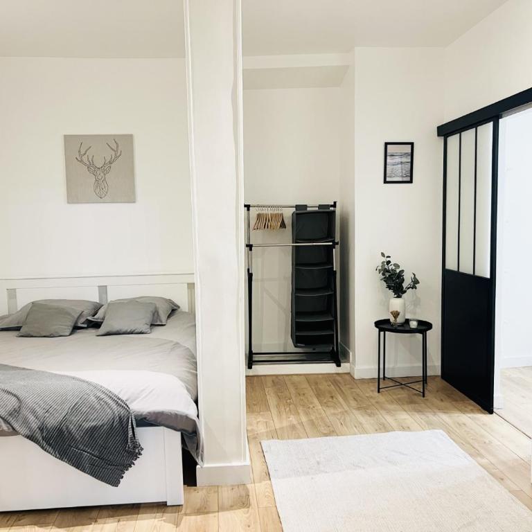 Sublime Appartement 2 pièces au cœur de la Vieille Ville - Appartement 1 Chambre - 1