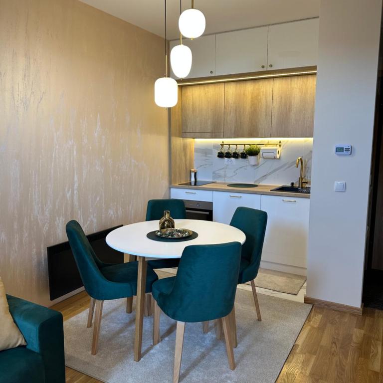 Apartman Zlatni bor - Apartman sa 1 Spavaćom Sobom - 19
