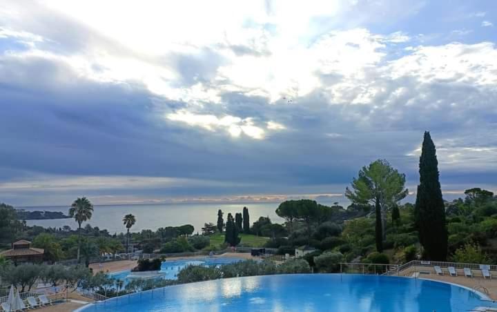 Vacances en paradis - Appartement 1 Chambre - 49