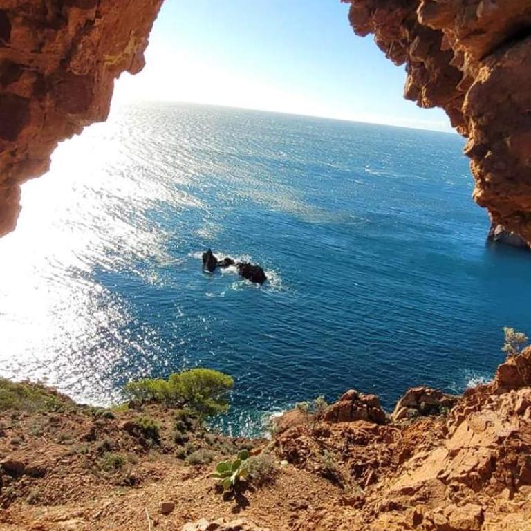 Vacances en paradis - Appartement 1 Chambre - 43