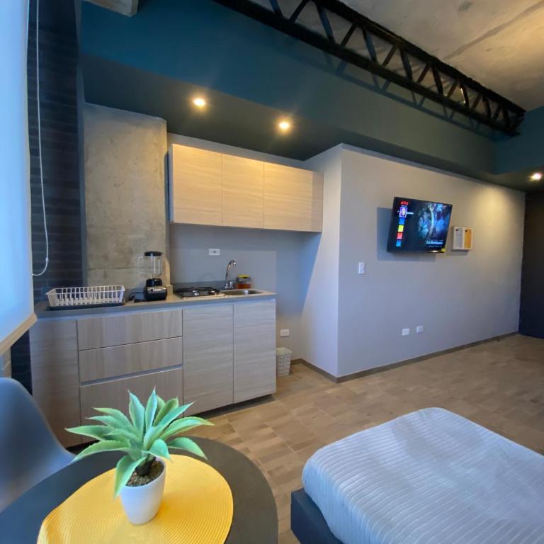 Cadena Hotelera Rey es - Apartamento Estudio - 1