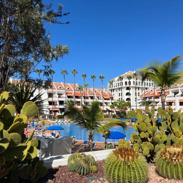 Parque Santiago II , renovated, ocean view, heated swimming pool ! - Apartamento de 2 dormitorios - 21