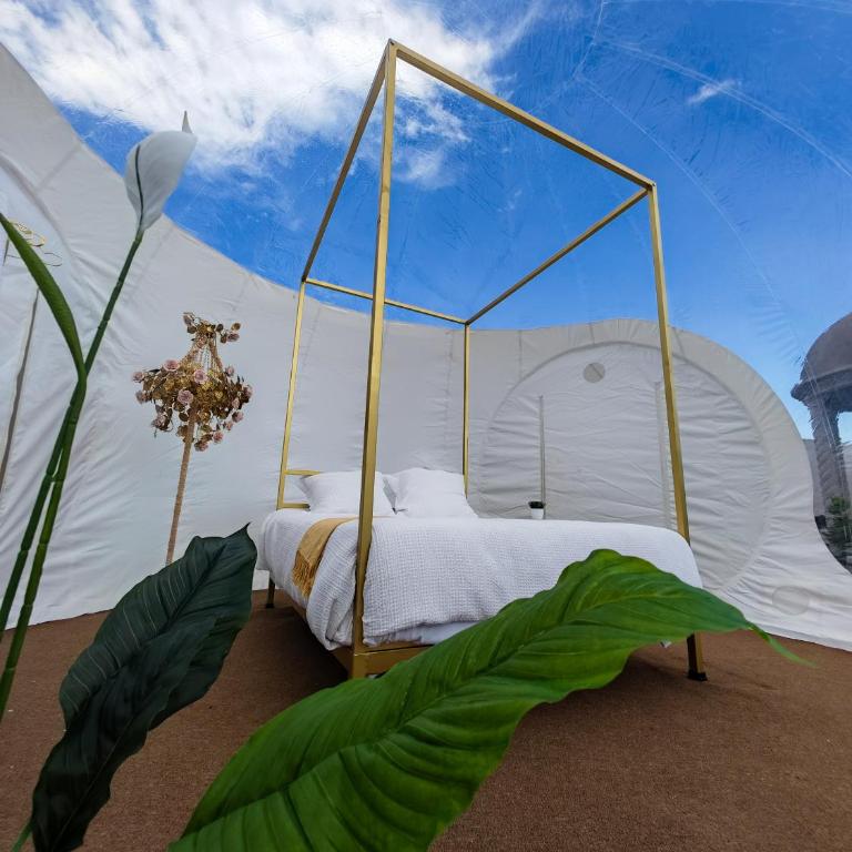Hotel Wanderlive - Queen Room with Garden View - 9