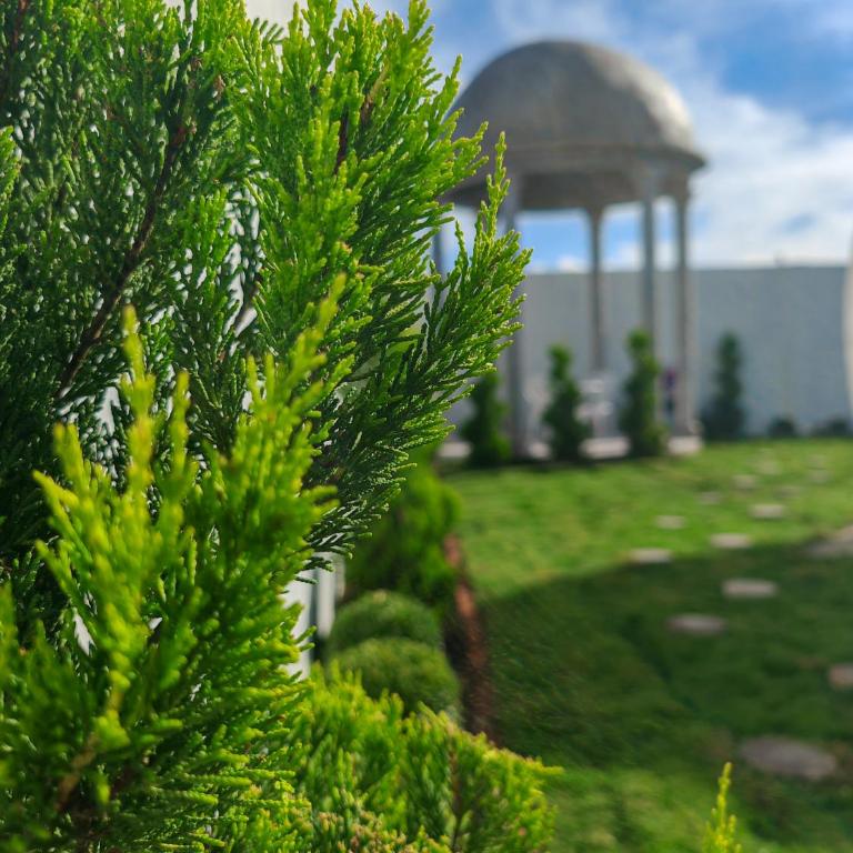 Hotel Wanderlive - Queen Room with Garden View - 12