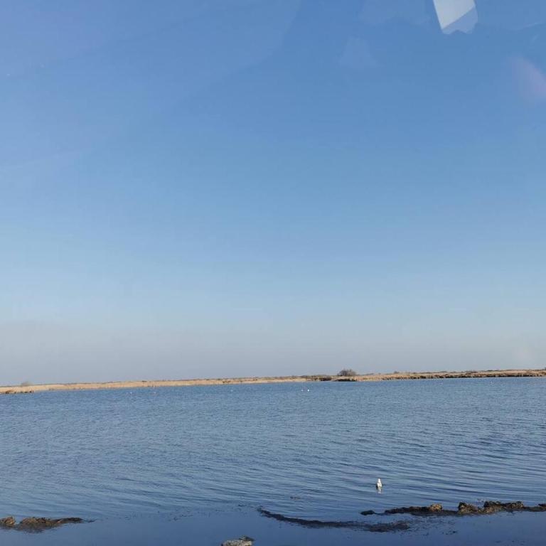 Plages de camargue et logement dans un site calme de rêve - Two-Bedroom Apartment - 4