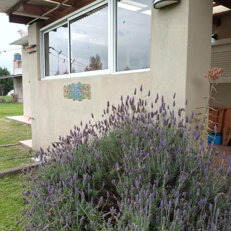 Ruca Newen Mar del Sur - Two-Bedroom House - 3