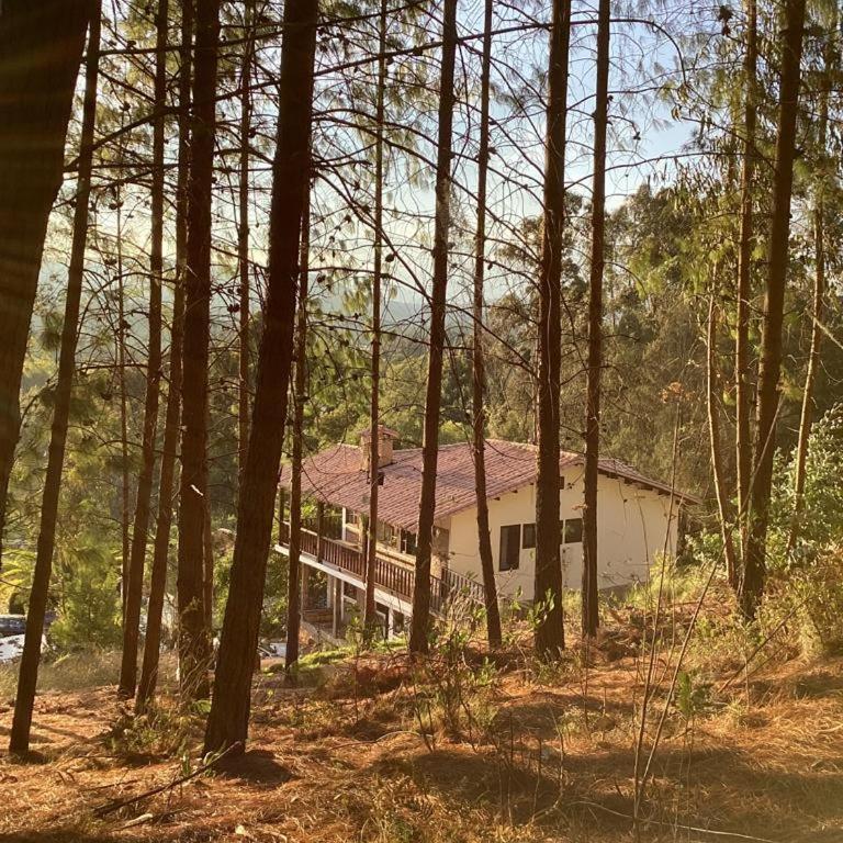 Cabaña Villalmira - Apartamento de 3 dormitorios - 2