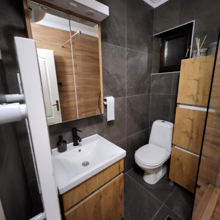Detelina - Apartman sa 1 Spavaćom Sobom - 14