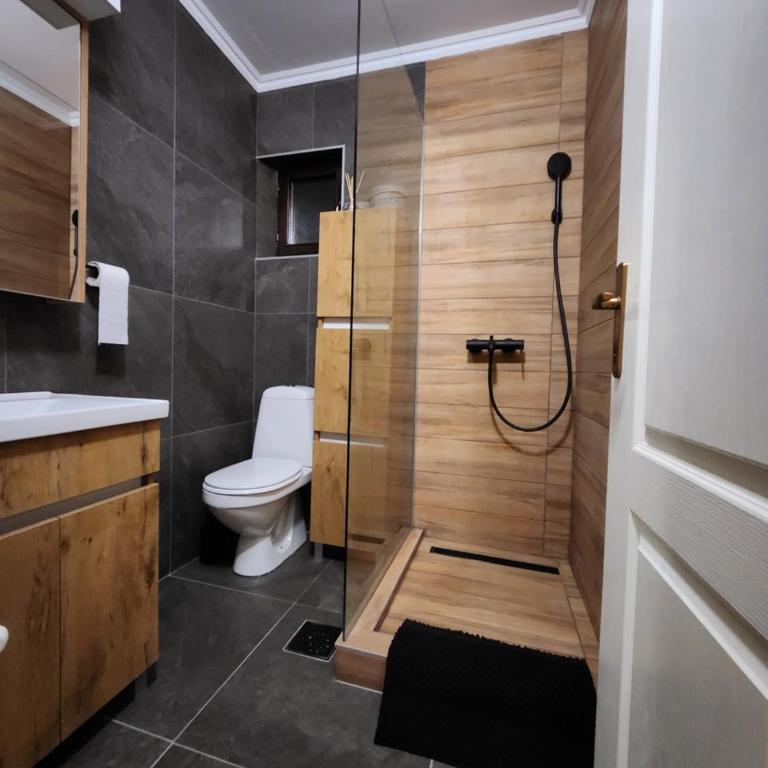Detelina - Apartman sa 1 Spavaćom Sobom - 16