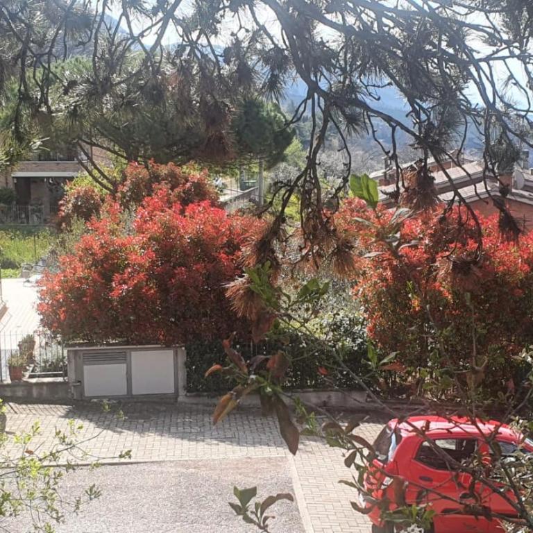 La Casa delle Ciliegie - Casa Vacanze - 38