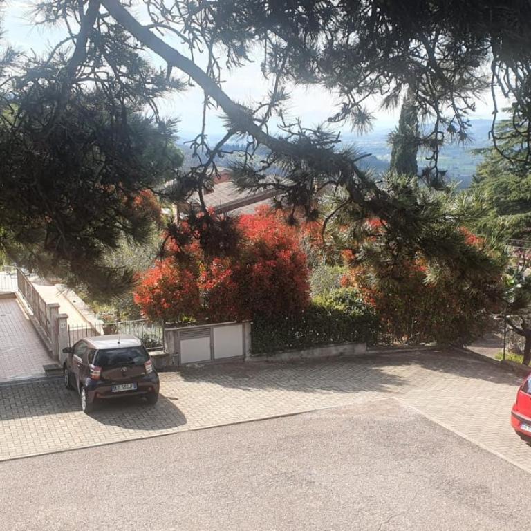 La Casa delle Ciliegie - Casa Vacanze - 37