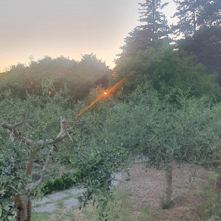 La Casa delle Ciliegie - Casa Vacanze - 49