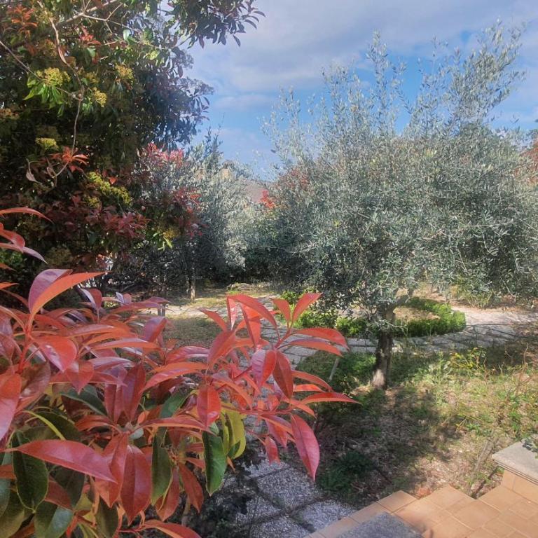La Casa delle Ciliegie - Casa Vacanze - 48
