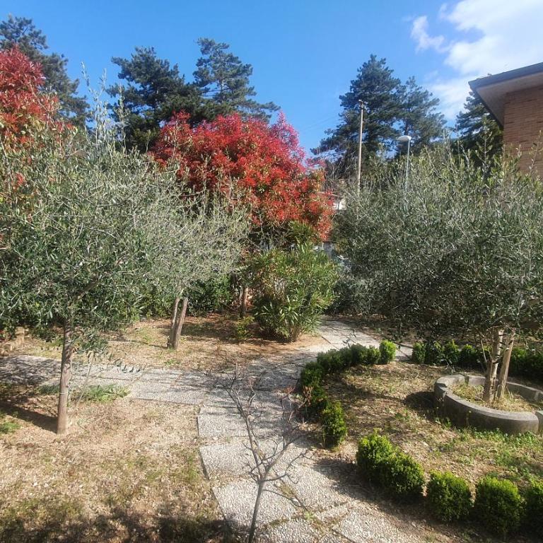 La Casa delle Ciliegie - Casa Vacanze - 46