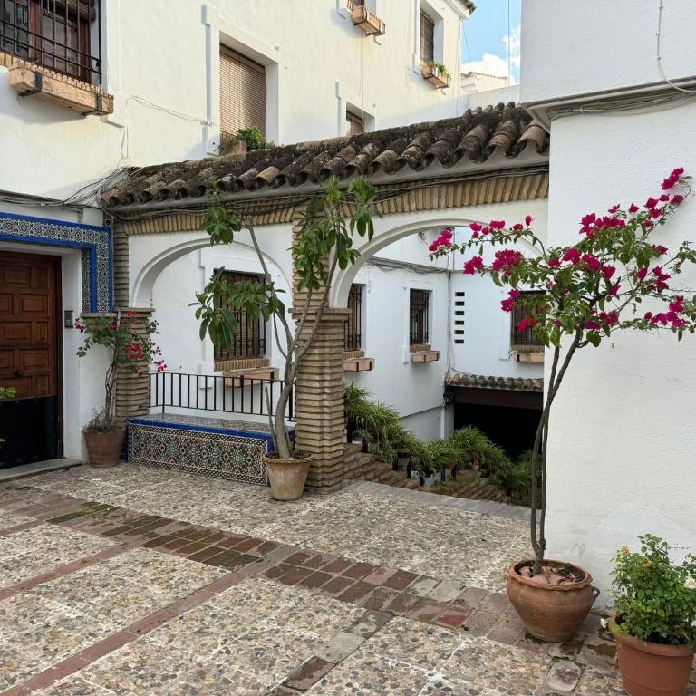 Apartamento Buen Pastor con parking gratuito - Two-Bedroom Apartment - 34